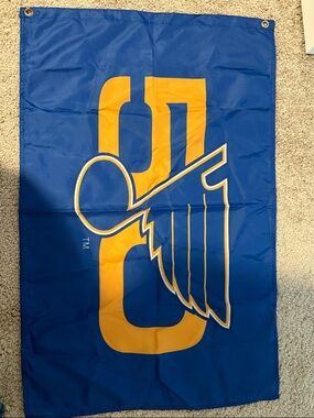 NHL Blue and Gold St. Louis Blues Flag
